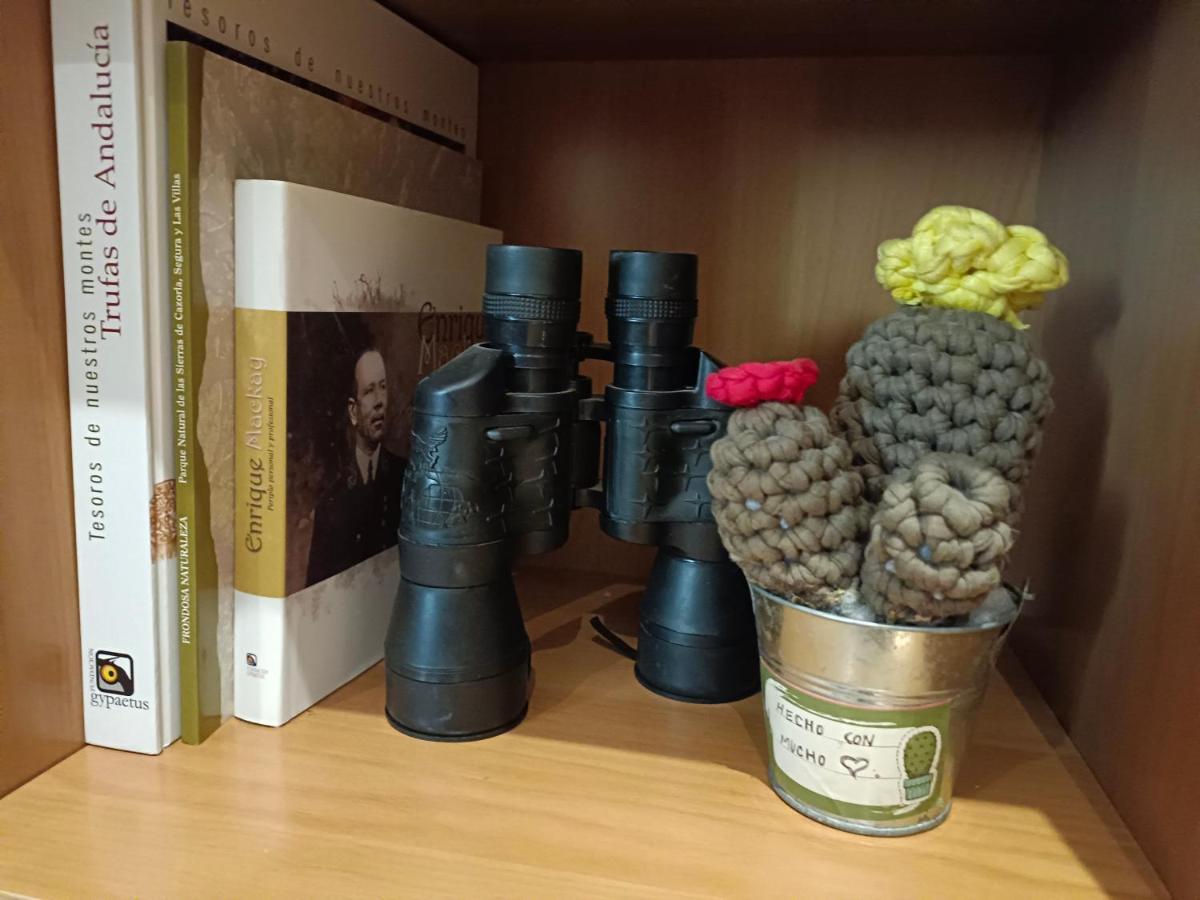 Kalma Cazorla公寓 外观 照片